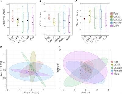 Structure and Dynamics of the Gut Bacterial Community Across the Developmental Stages of the Coffee Berry Borer, Hypothenemus hampei